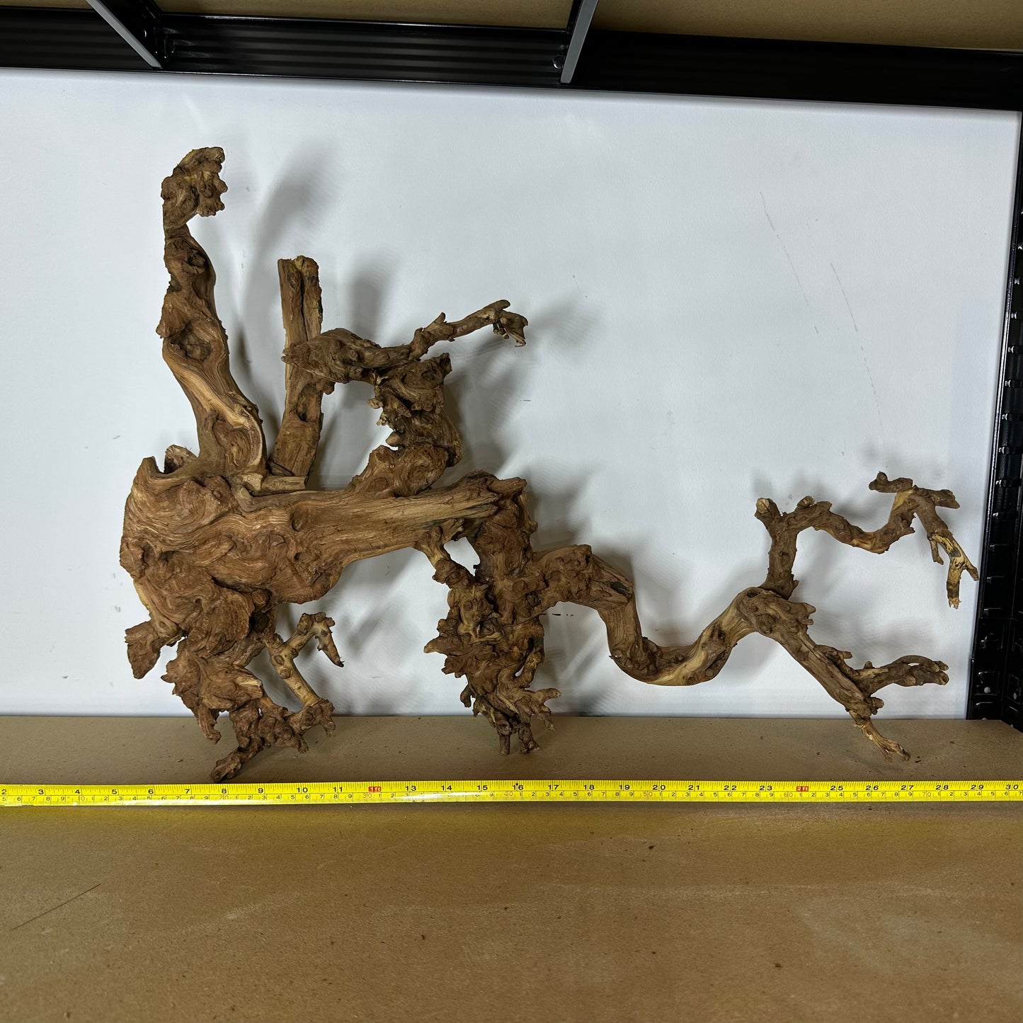Coral Wood (XX Large)