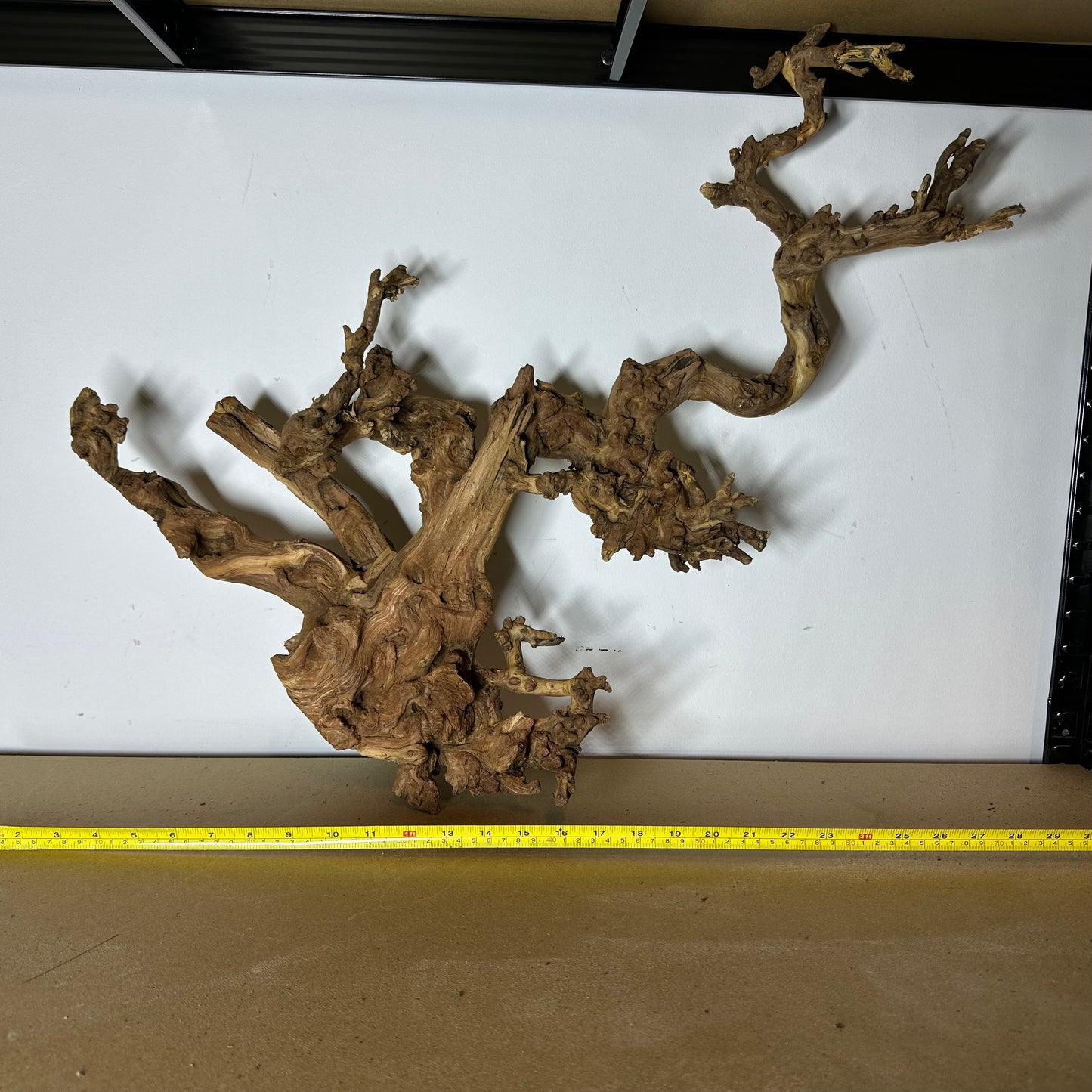 Coral Wood (XX Large)