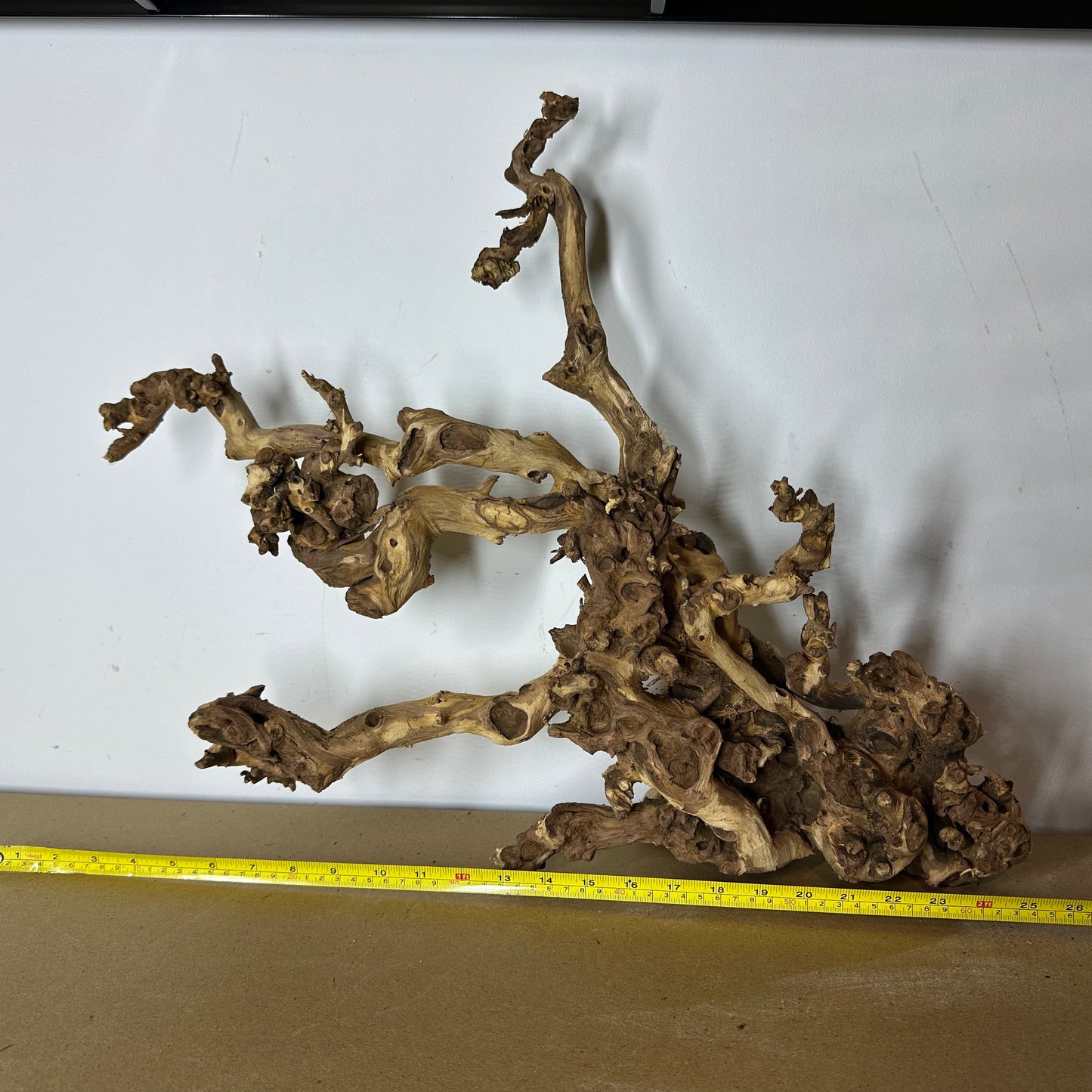 Coral Wood (XX Large)