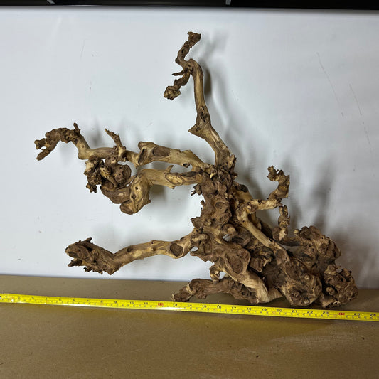 Coral Wood (XX Large)