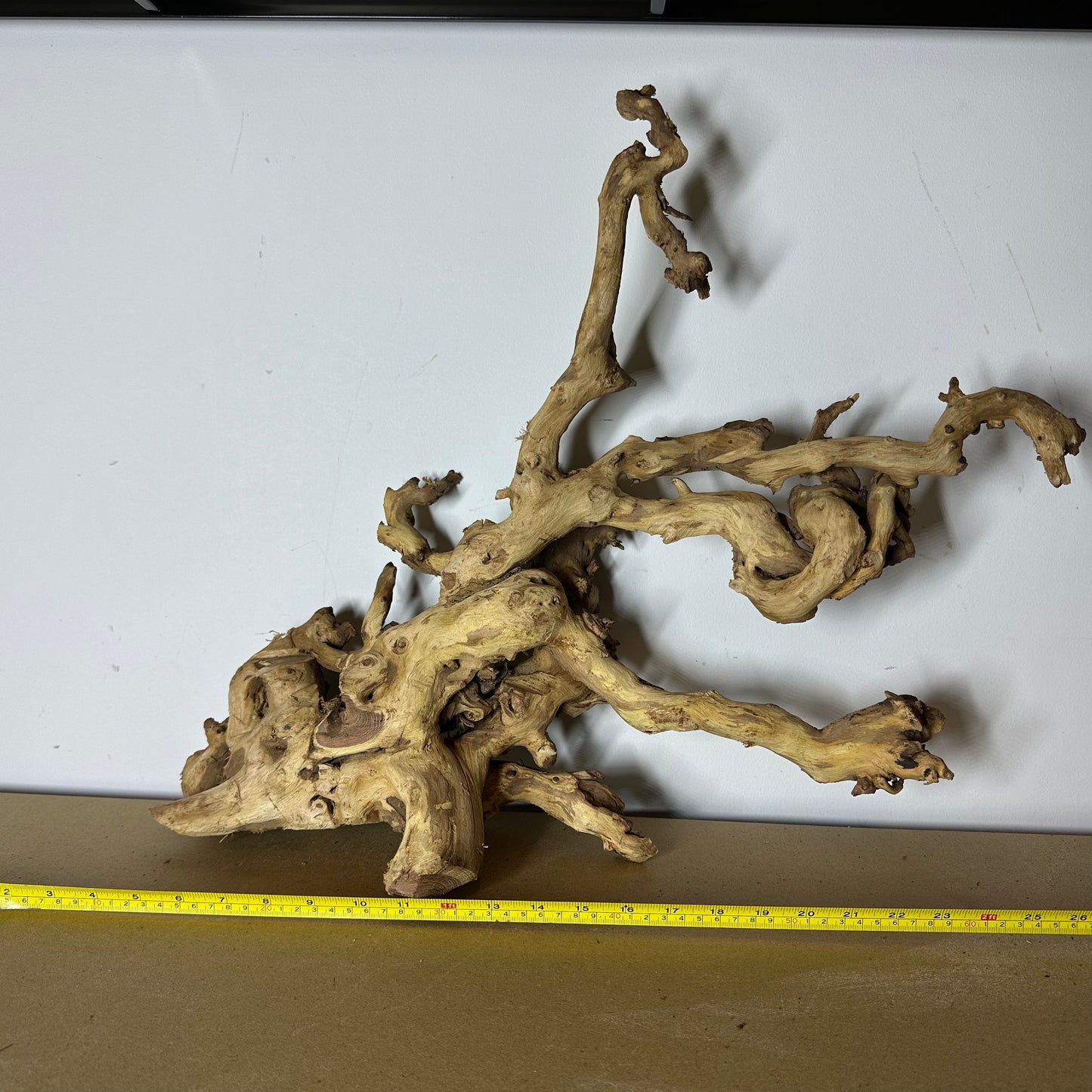 Coral Wood (XX Large)