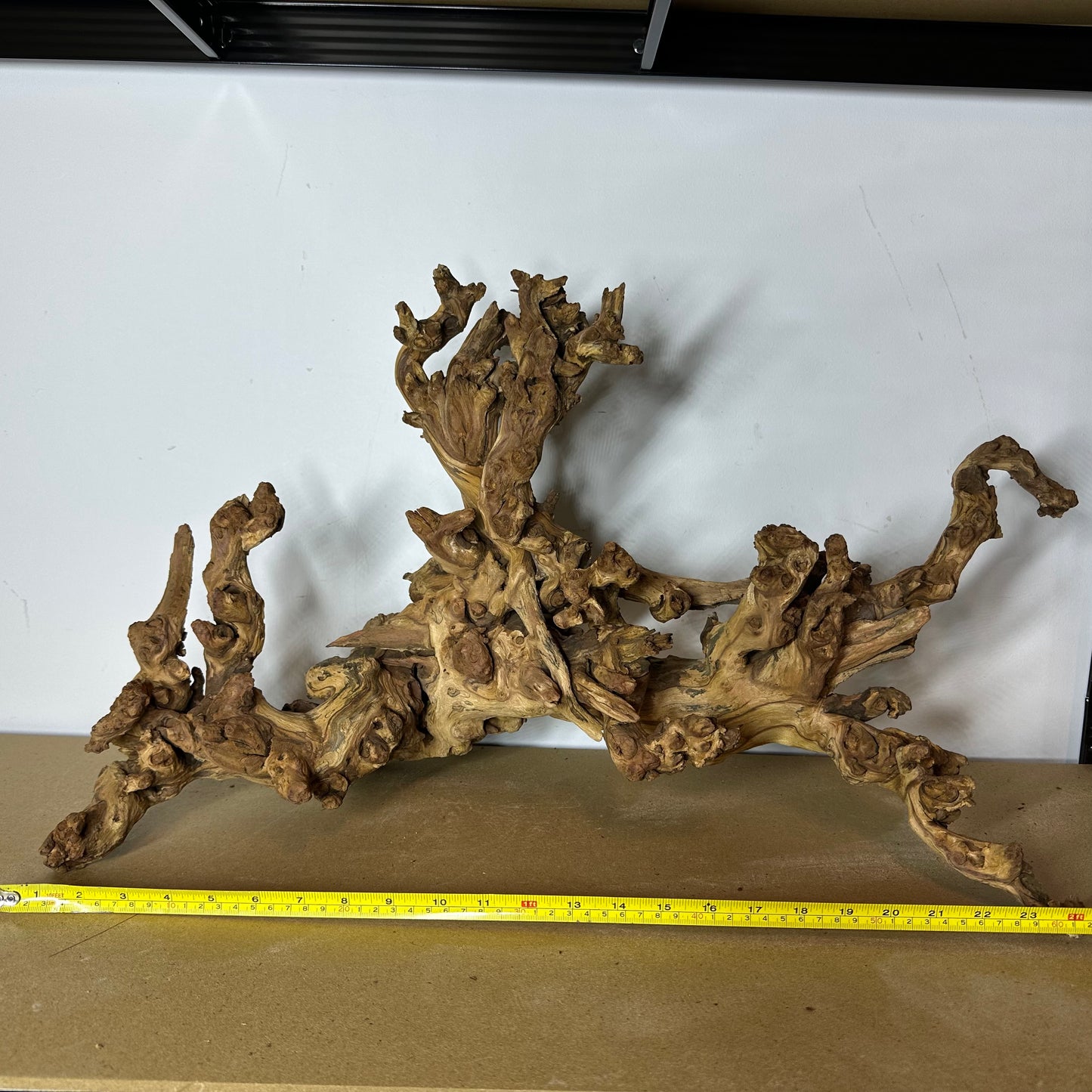 Coral Wood (XX Large)