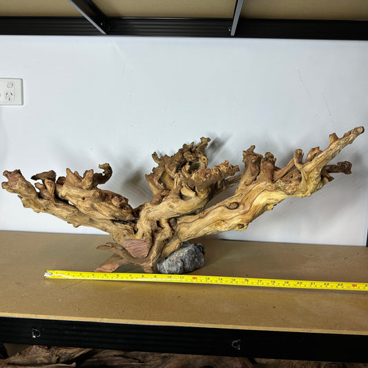 Coral Wood (XX Large)