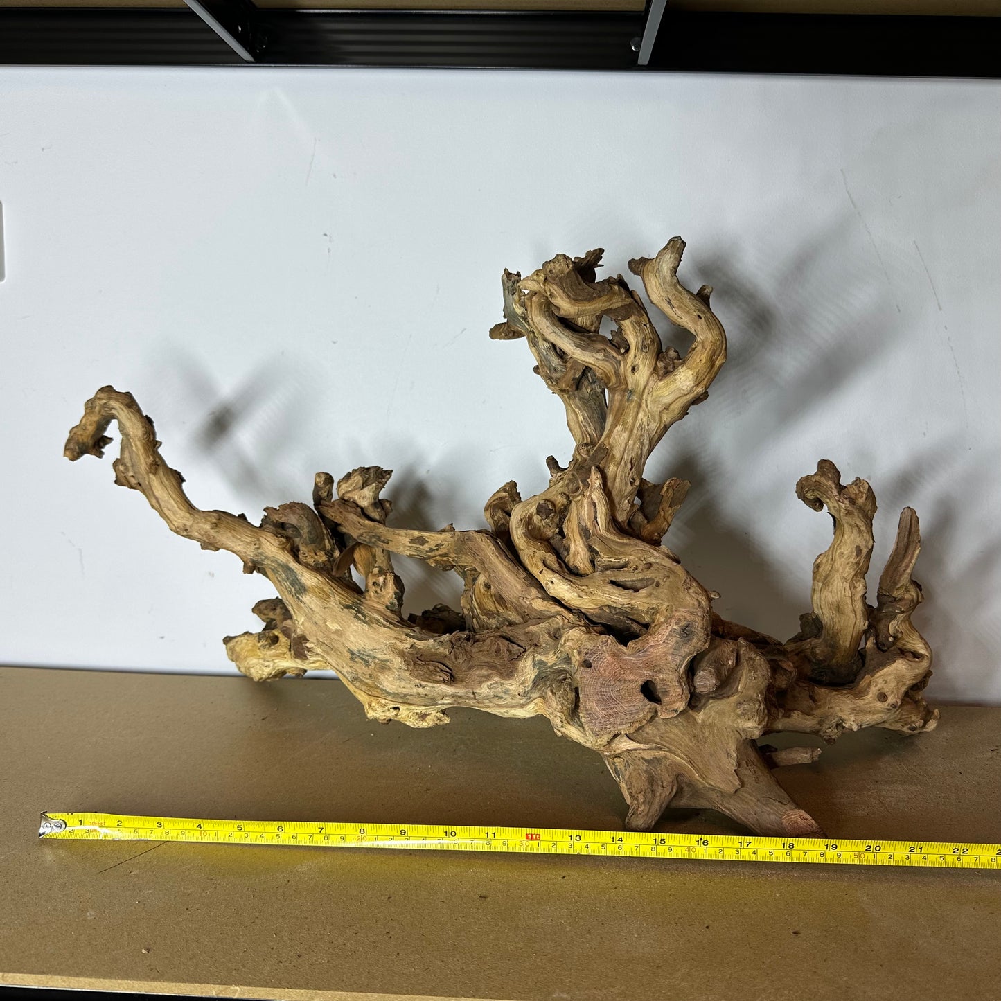Coral Wood (XX Large)