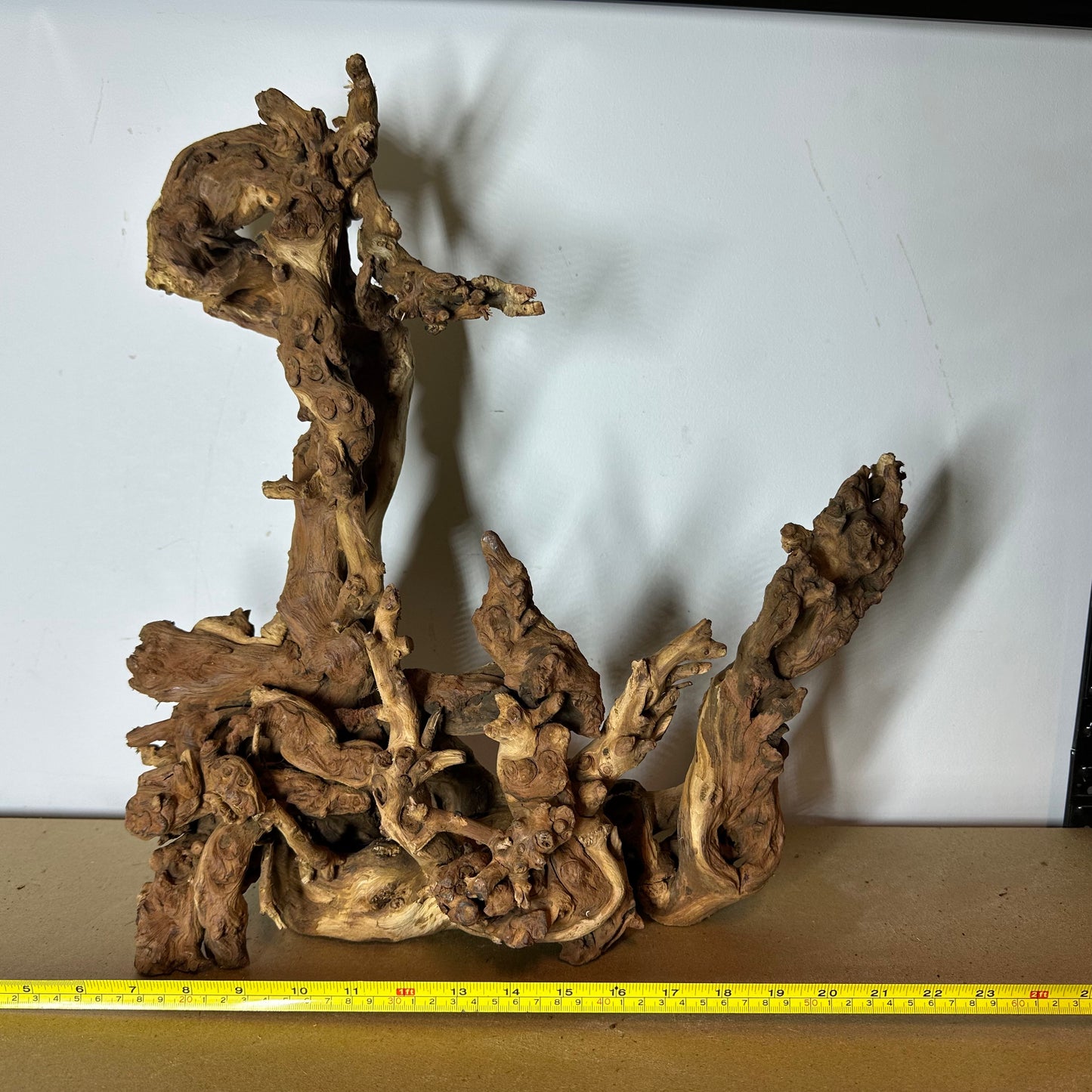 Coral Wood (XX Large)