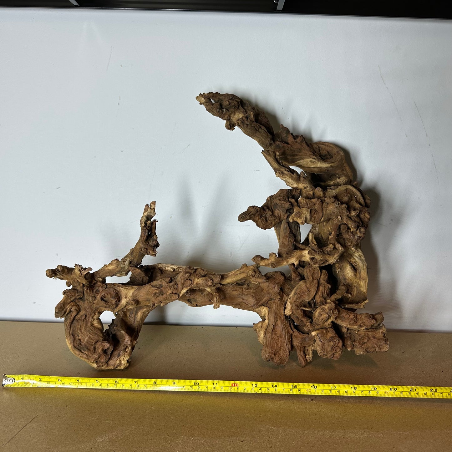 Coral Wood (XX Large)