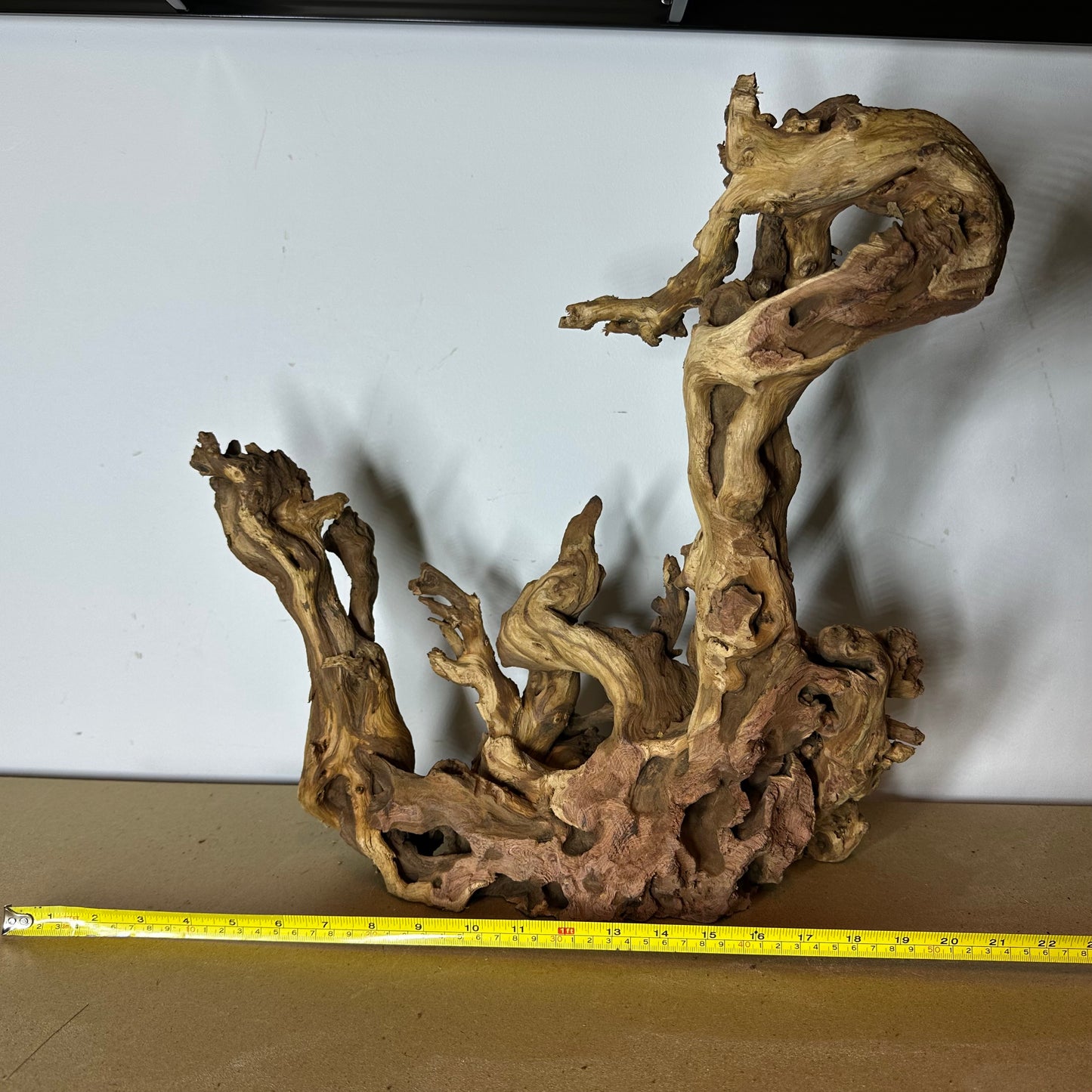 Coral Wood (XX Large)