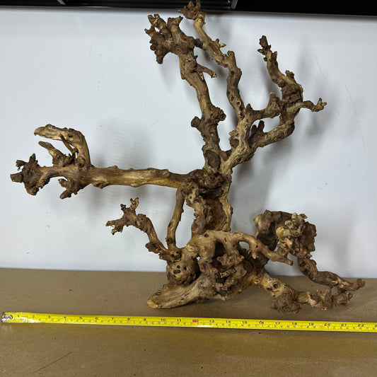 Coral Wood (XX Large)