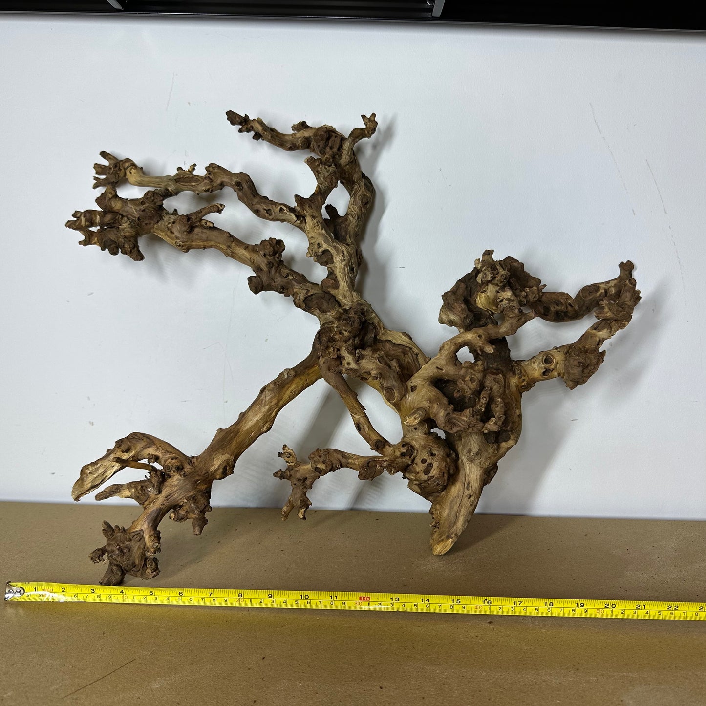 Coral Wood (XX Large)