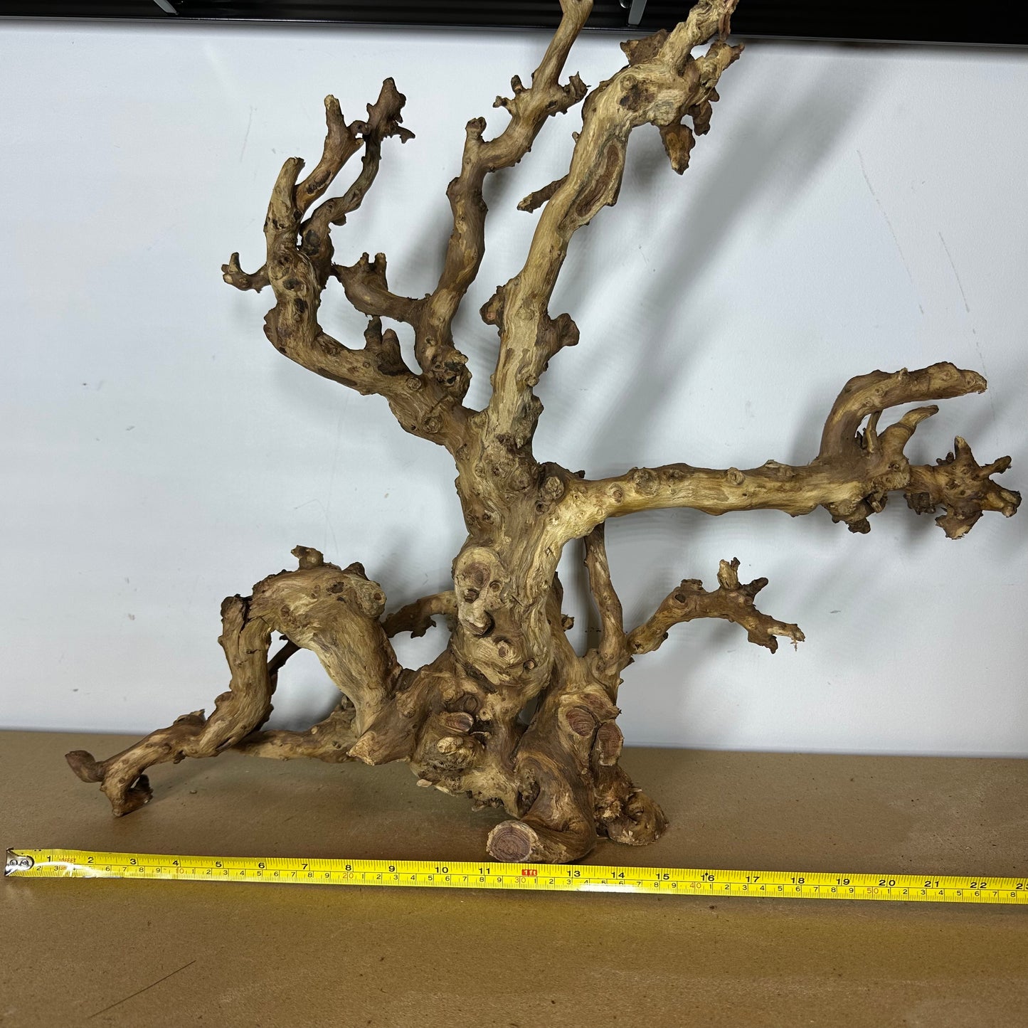Coral Wood (XX Large)