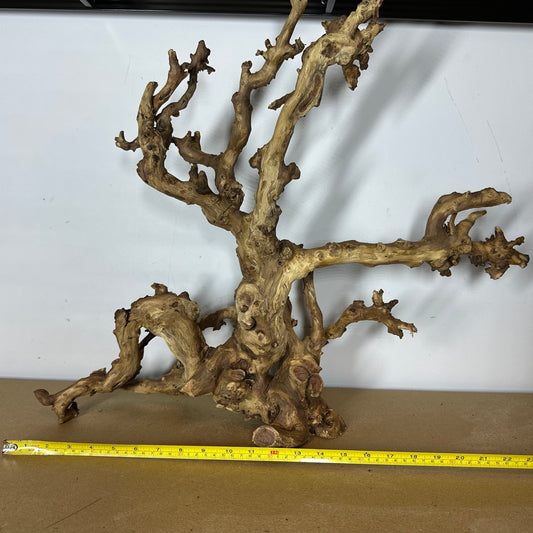 Coral Wood (XX Large)