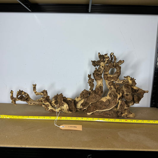 Coral Wood (XX Large)