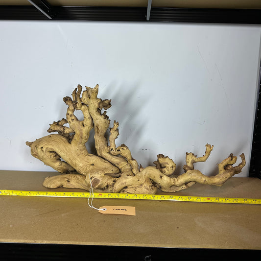 Coral Wood (XX Large)