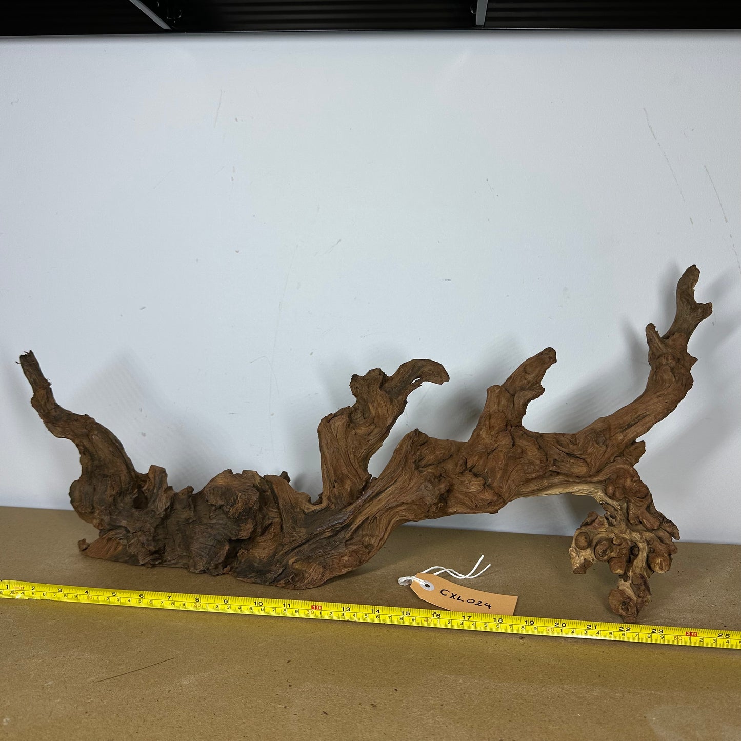 Coral Wood (X Large)