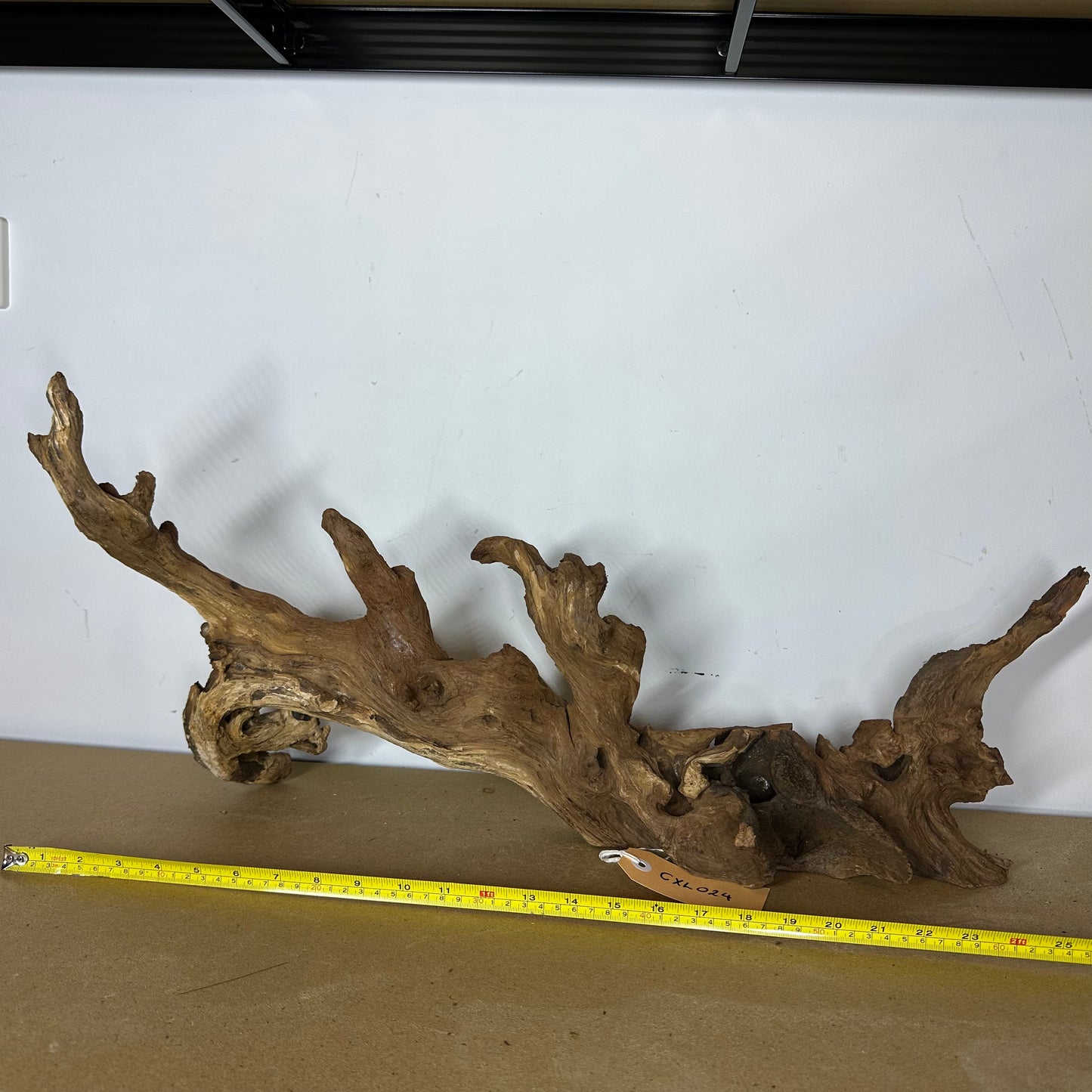 Coral Wood (X Large)