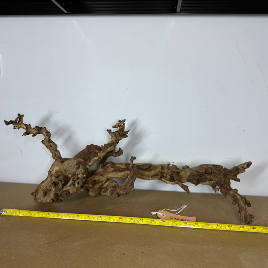 Coral Wood (X Large)