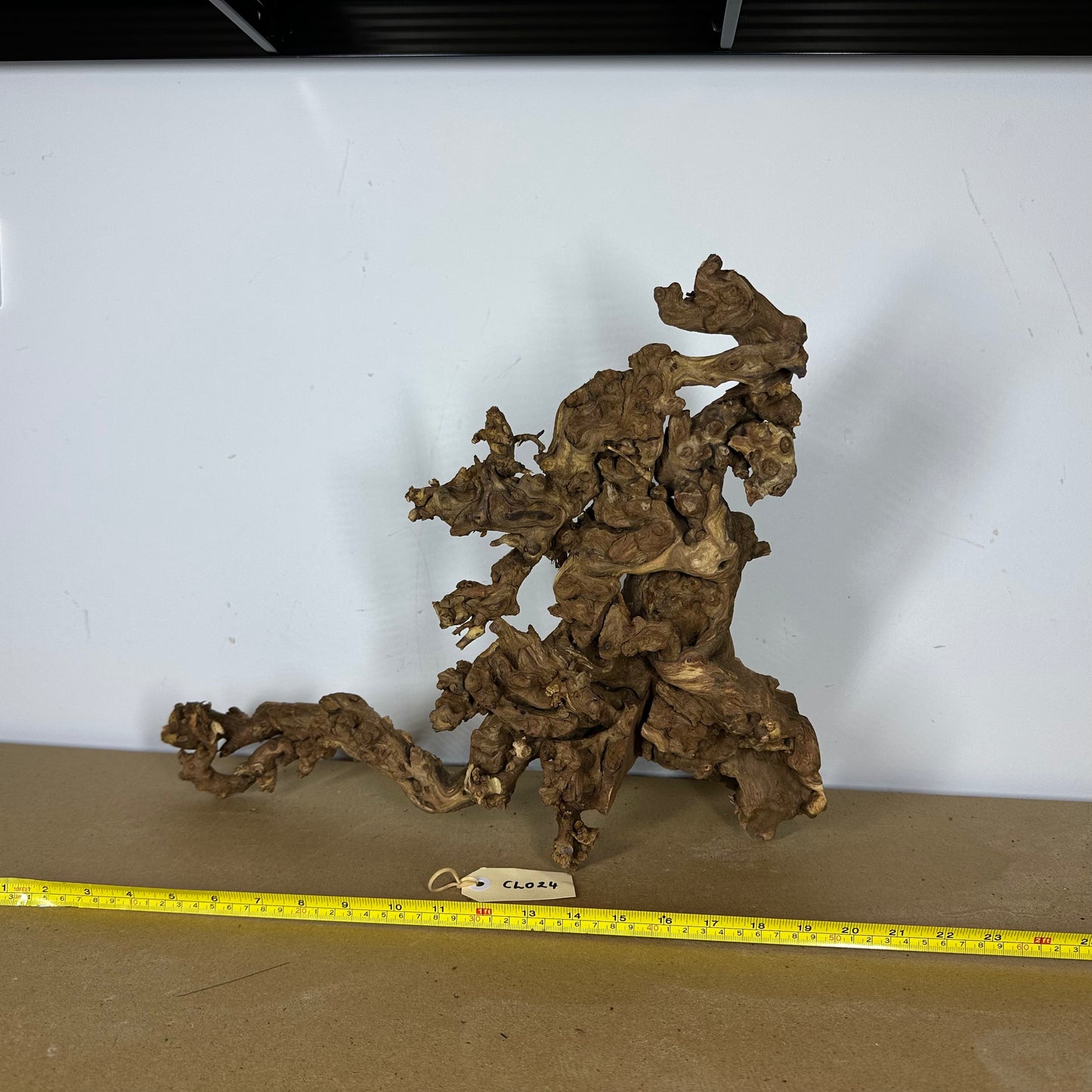 Coral Wood (Large)
