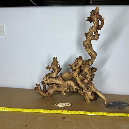 Coral Wood (Large)