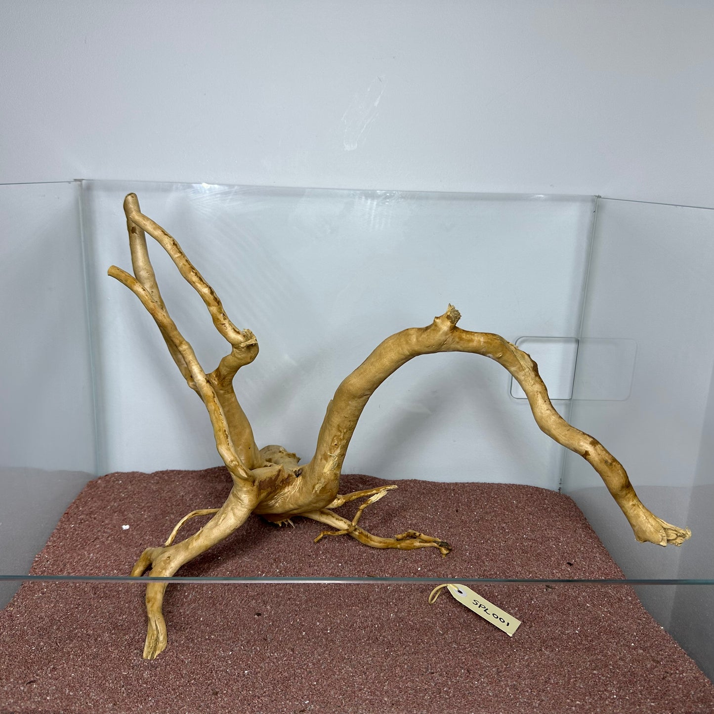Spiderwood (Large)