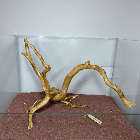 Spiderwood (Large)