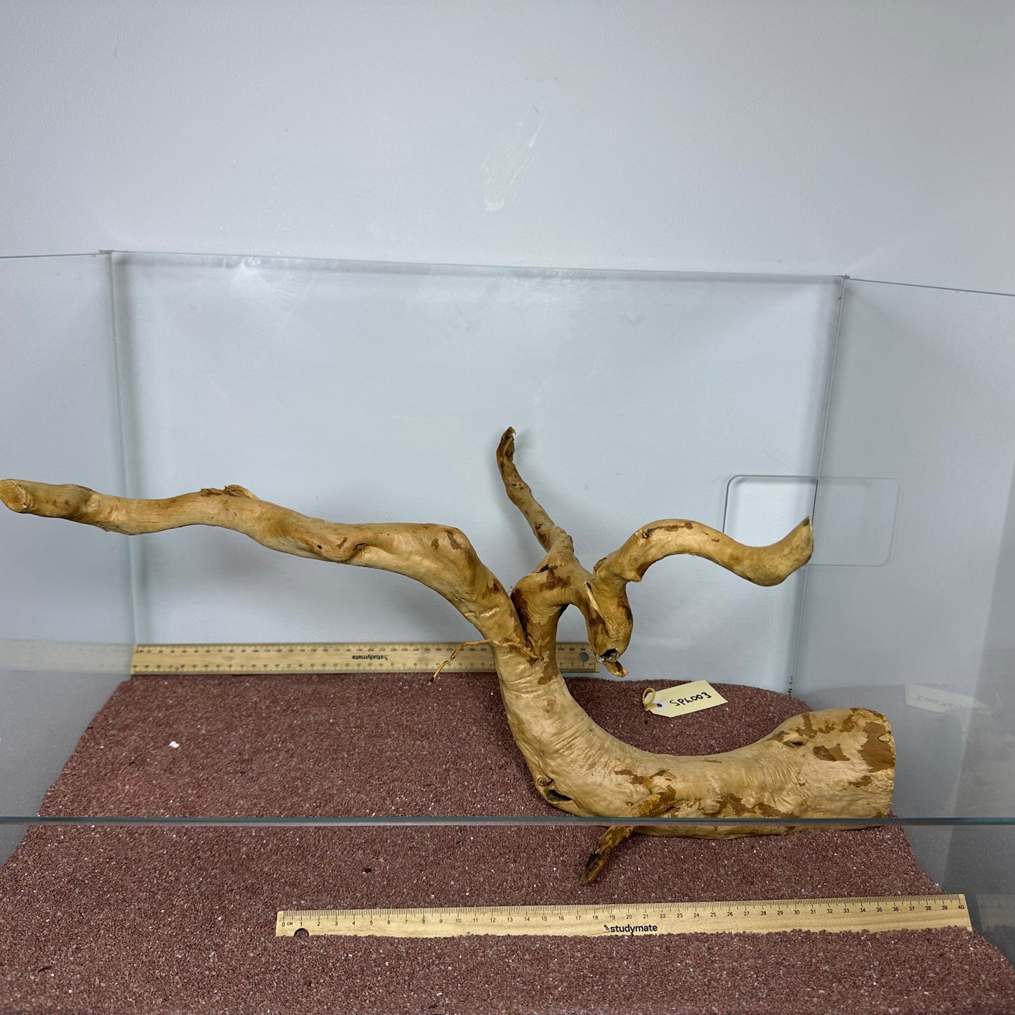 Spiderwood (Large)