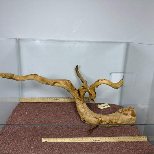 Spiderwood (Large)