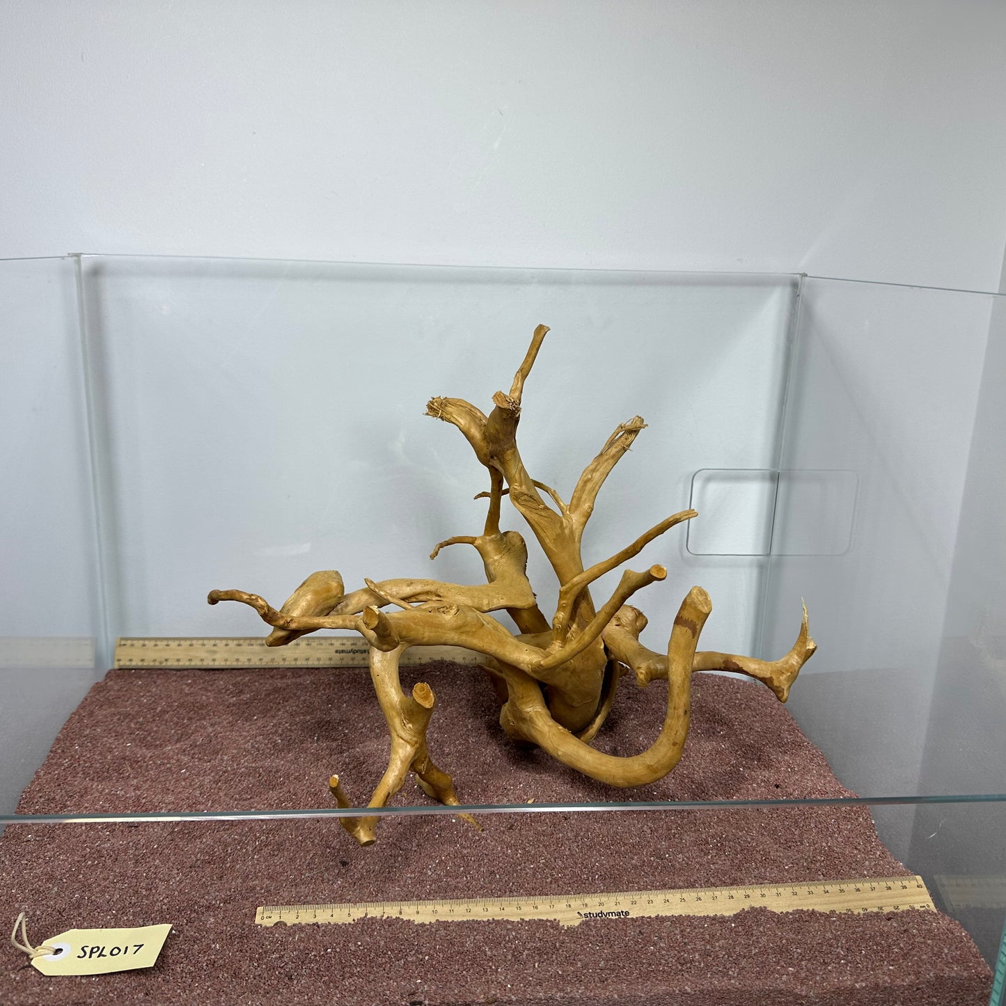 Spiderwood (Large)