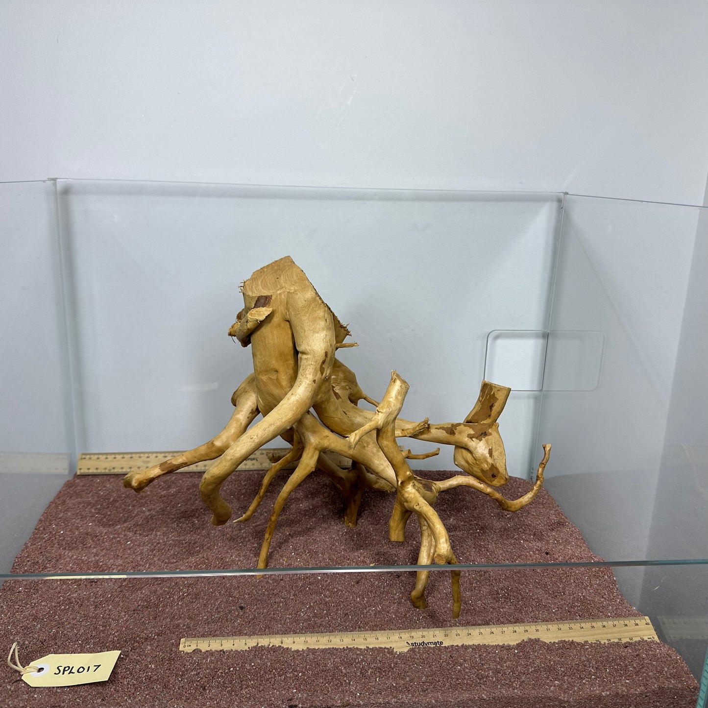 Spiderwood (Large)