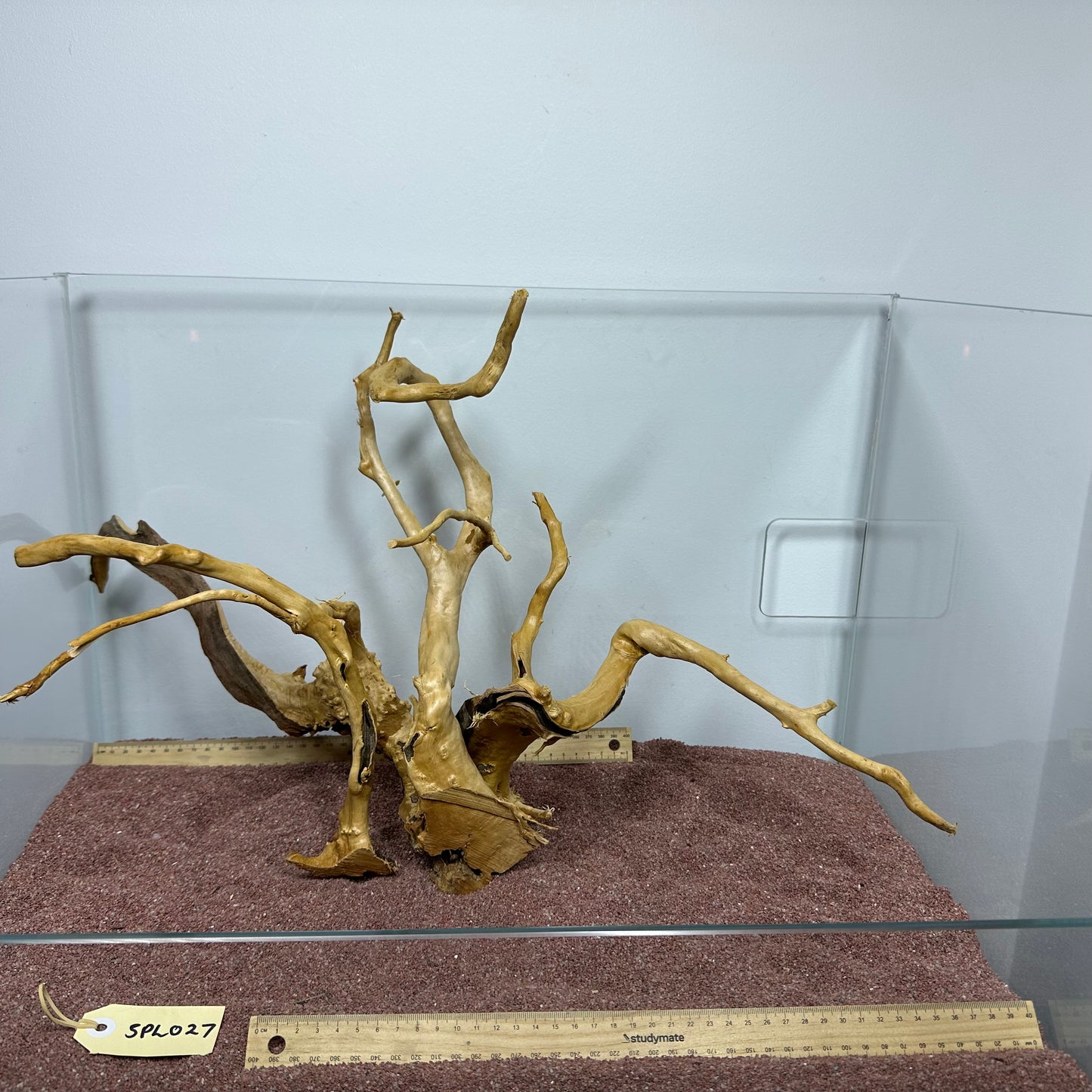 Spiderwood (Large)