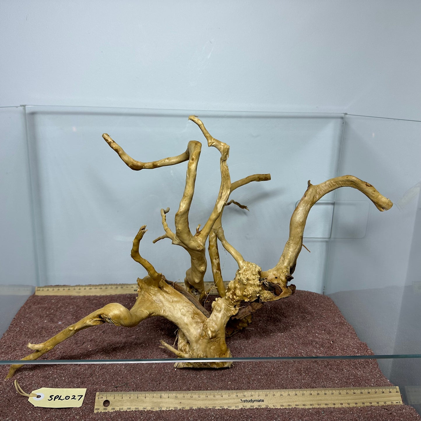 Spiderwood (Large)