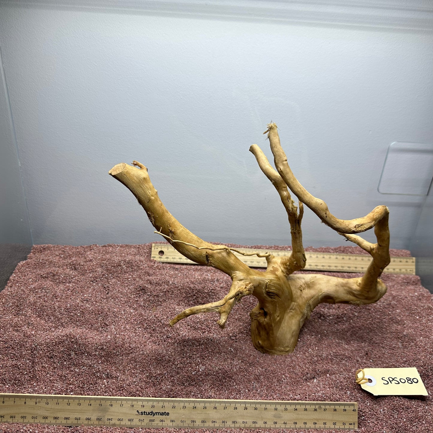 Spiderwood (Small)