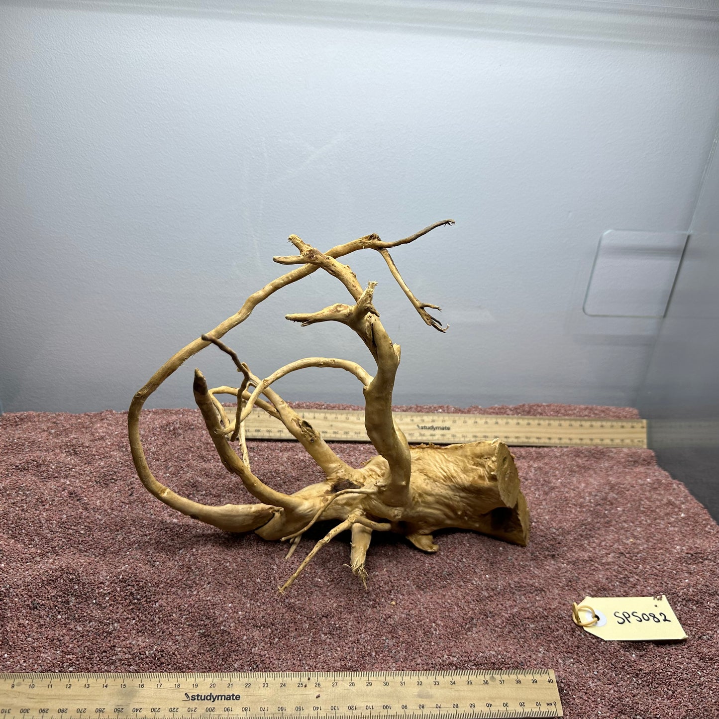 Spiderwood (Small)