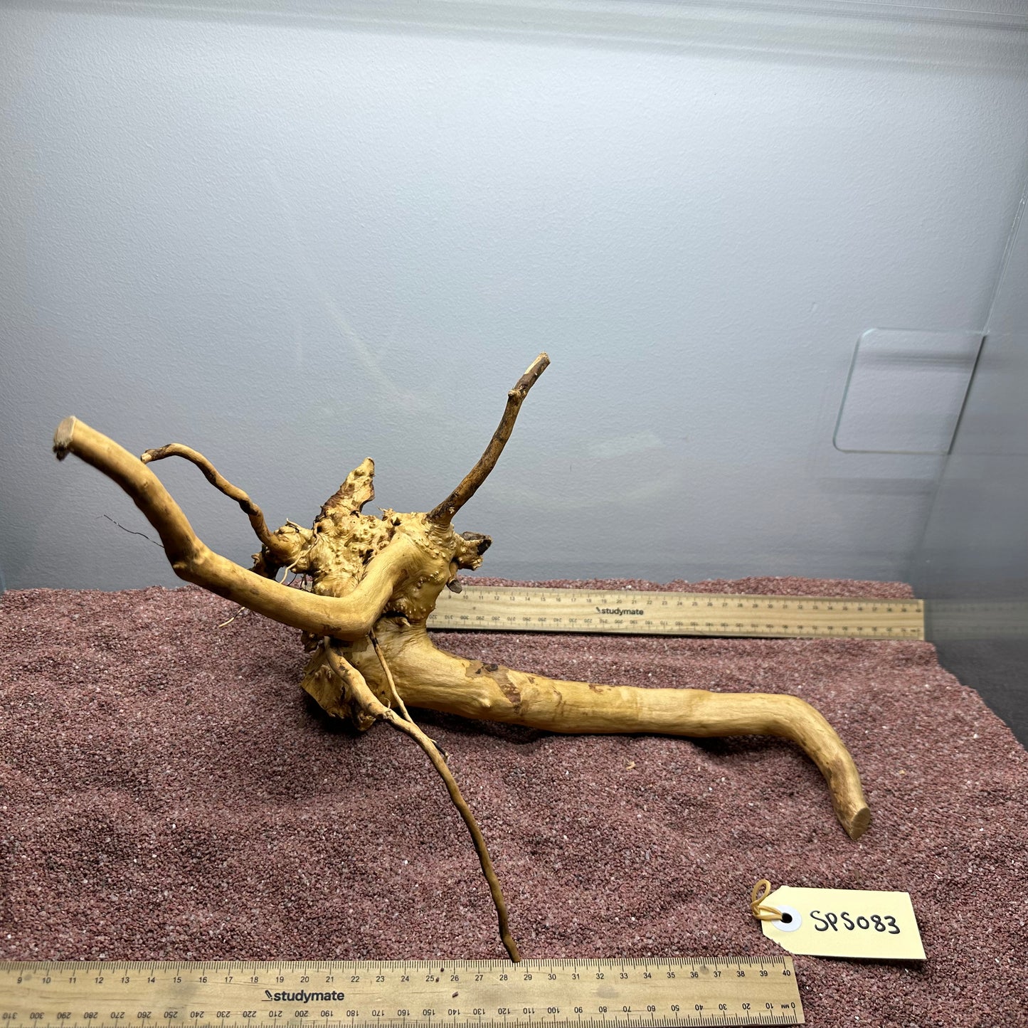 Spiderwood (Small)