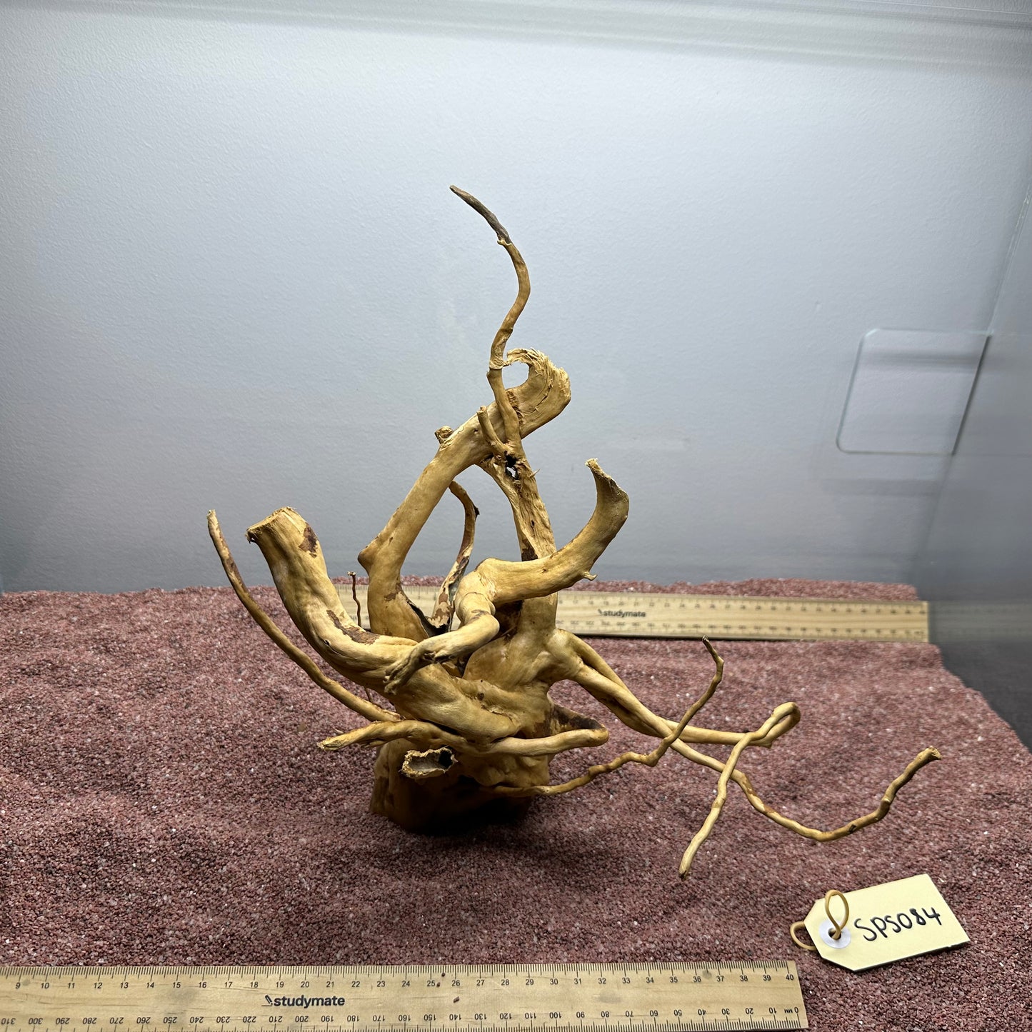 Spiderwood (Small)