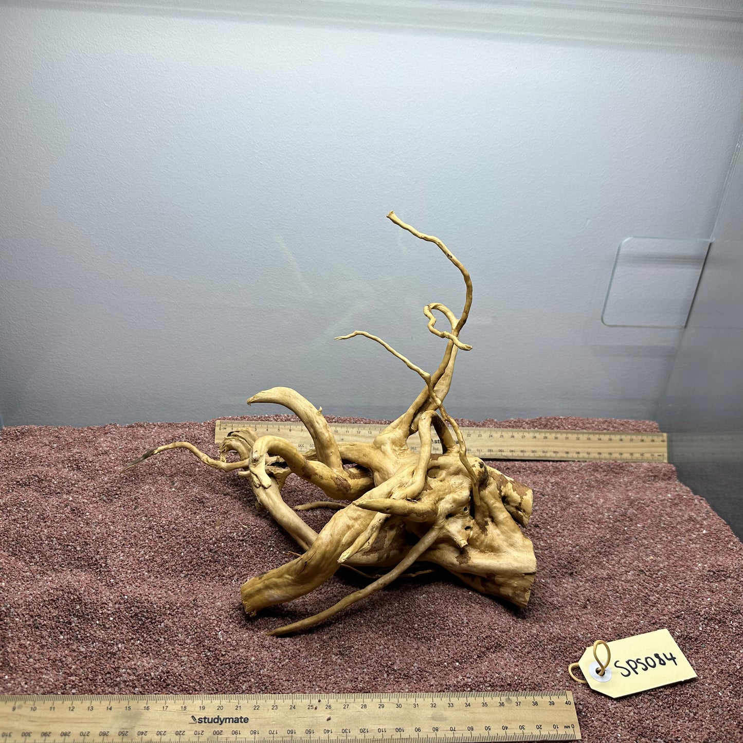 Spiderwood (Small)