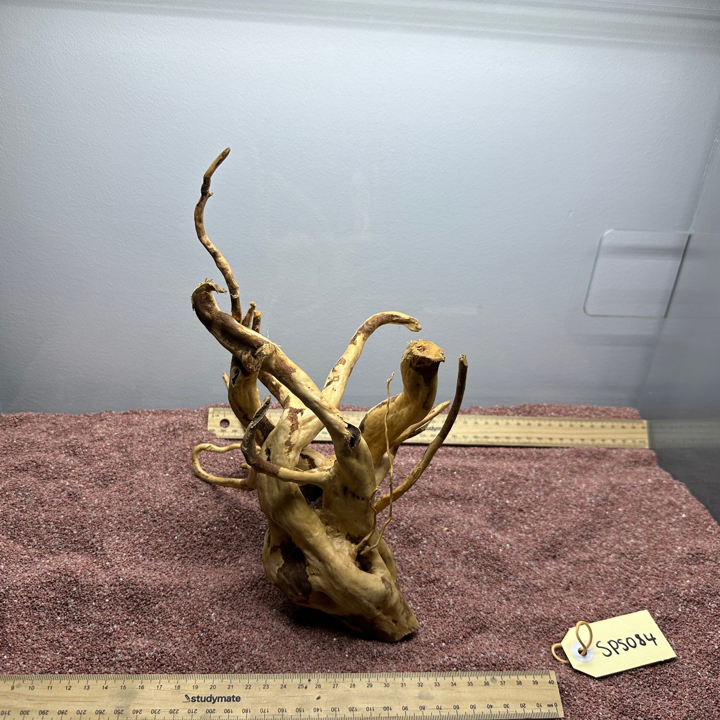 Spiderwood (Small)