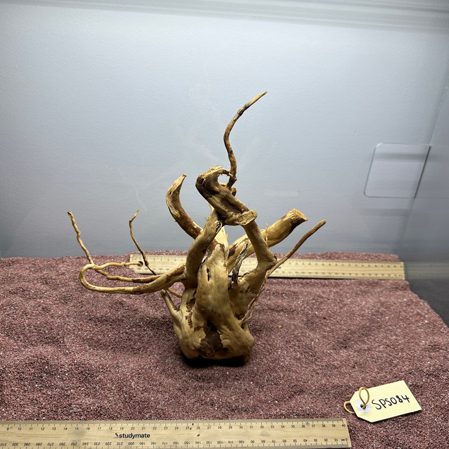 Spiderwood (Small)