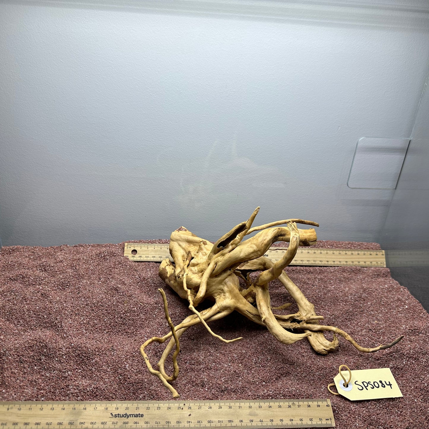 Spiderwood (Small)