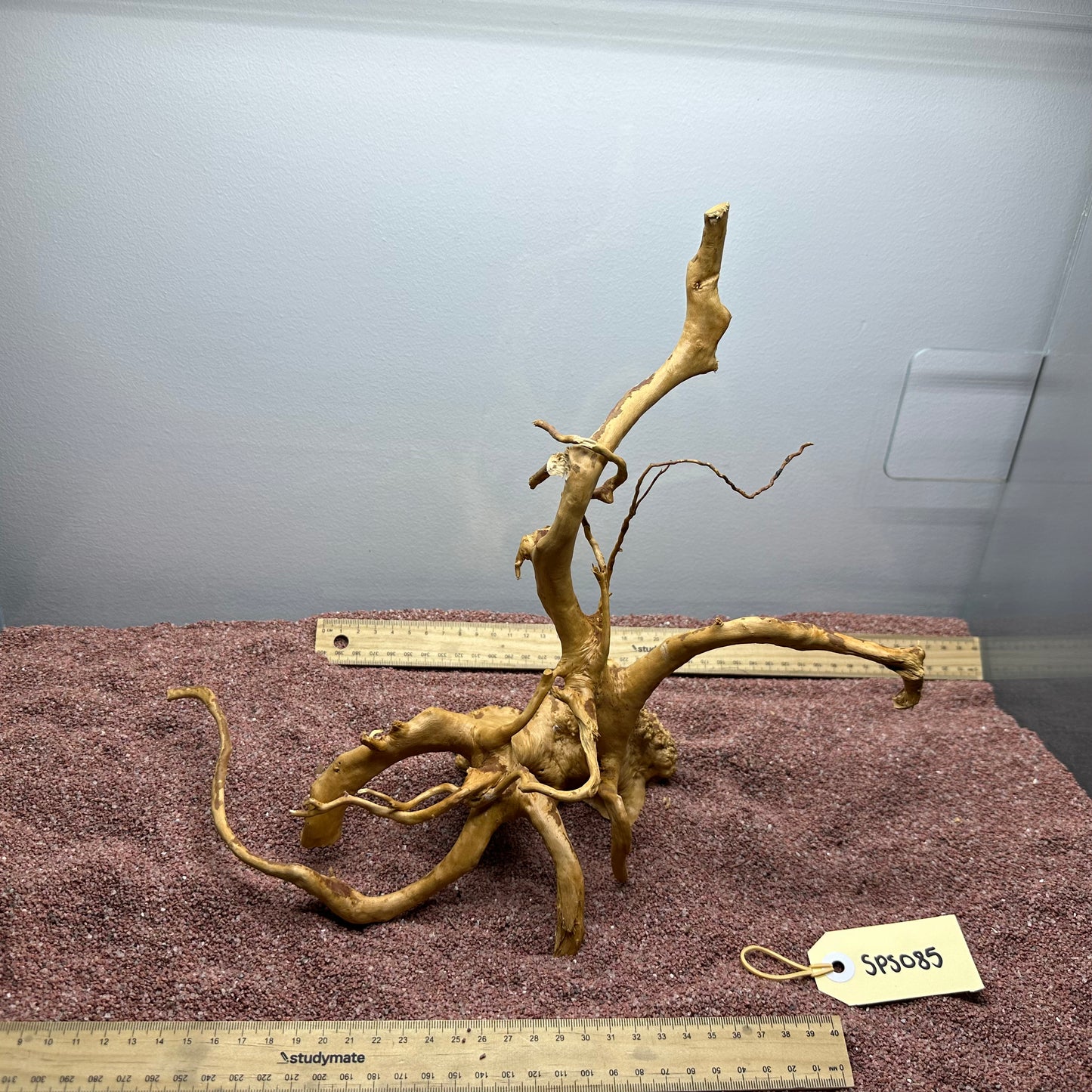 Spiderwood (Small)