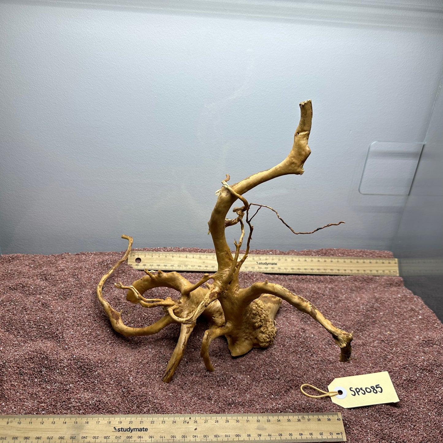Spiderwood (Small)