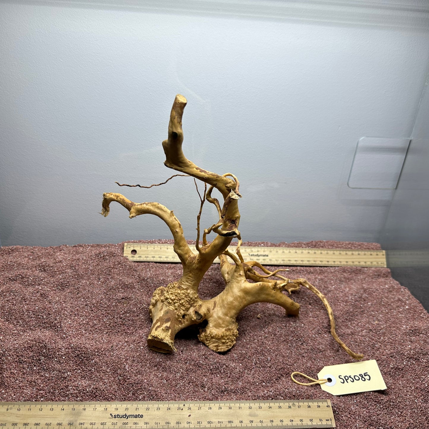 Spiderwood (Small)