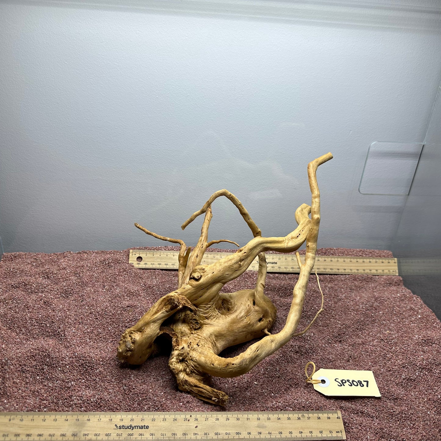 Spiderwood (Small)