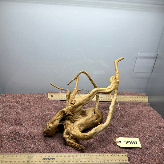 Spiderwood (Small)