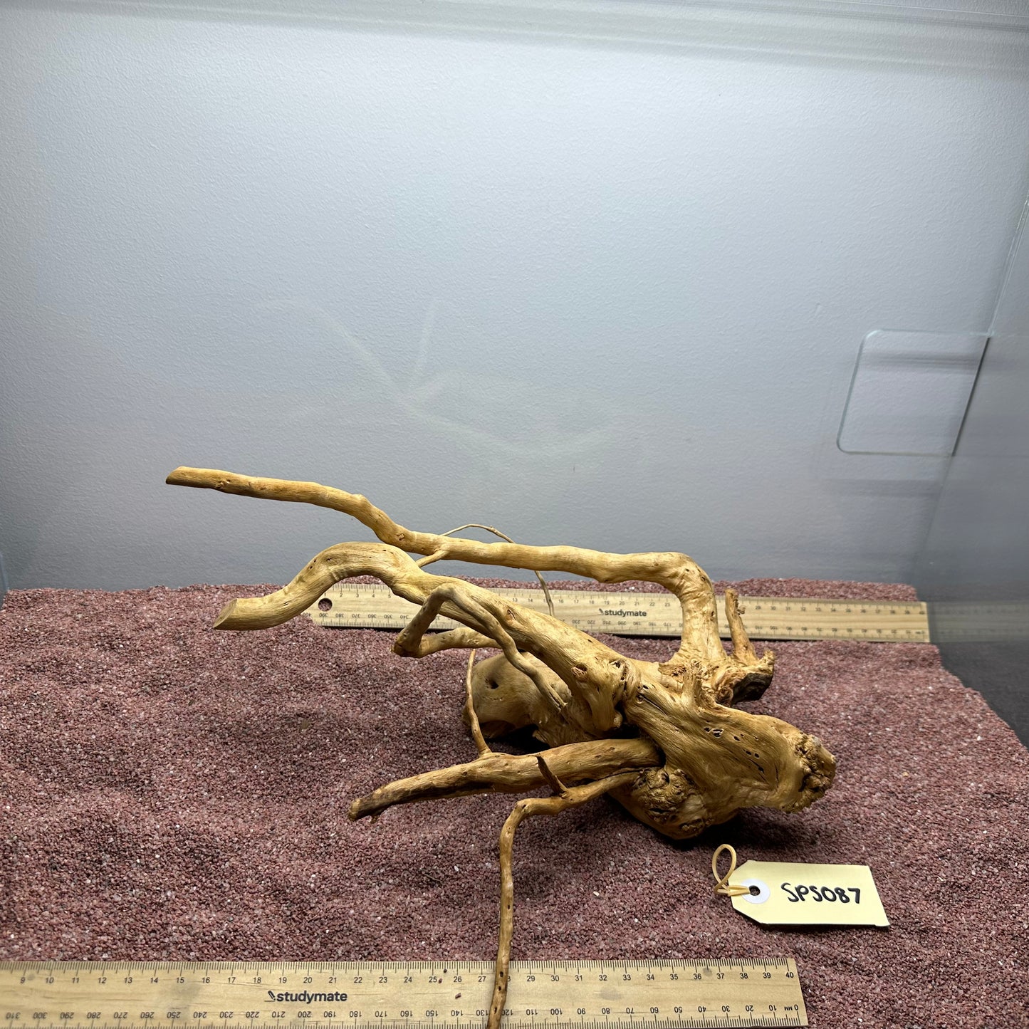 Spiderwood (Small)