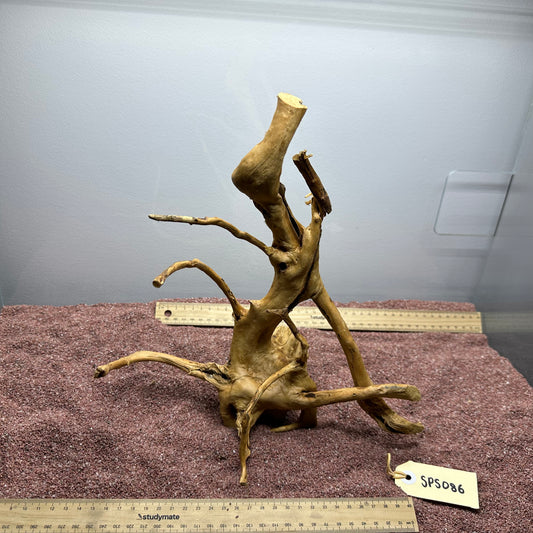 Spiderwood (Small)