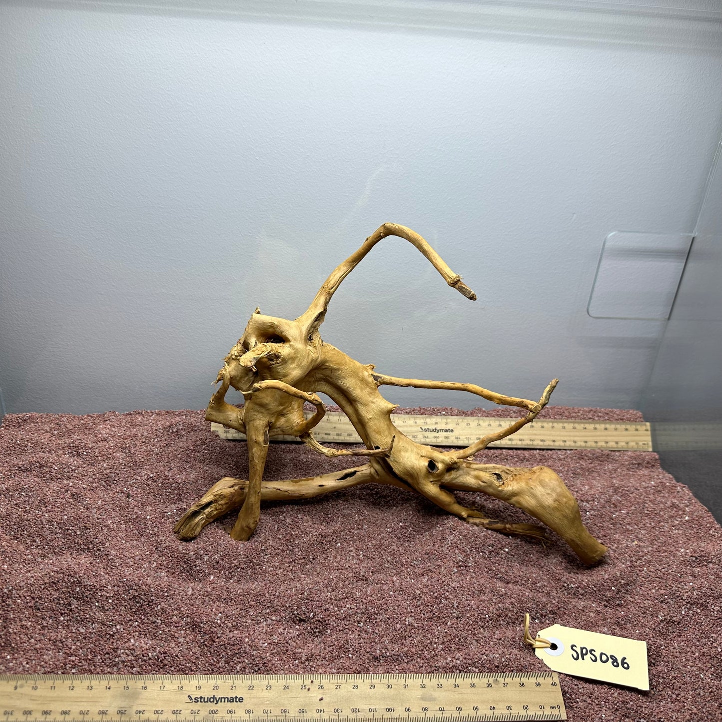 Spiderwood (Small)