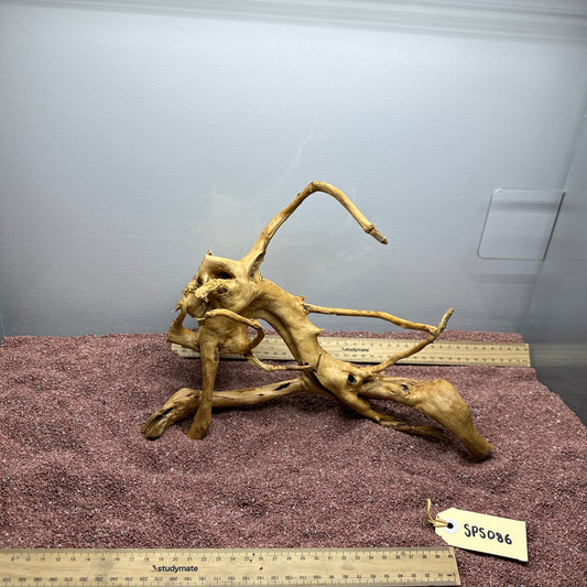 Spiderwood (Small)