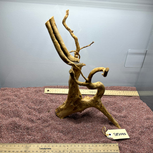 Spiderwood (Small)