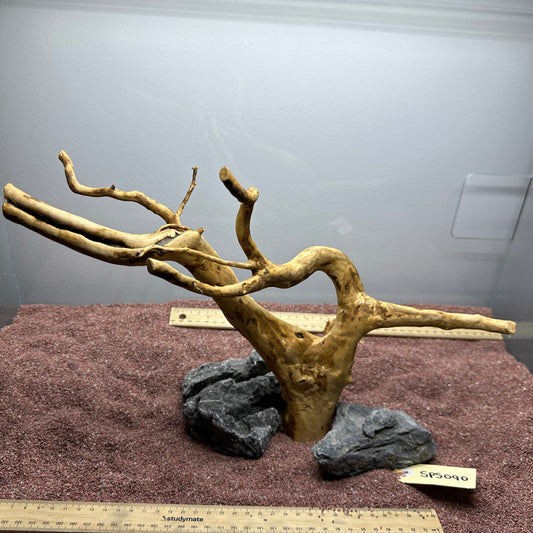 Spiderwood (Small)