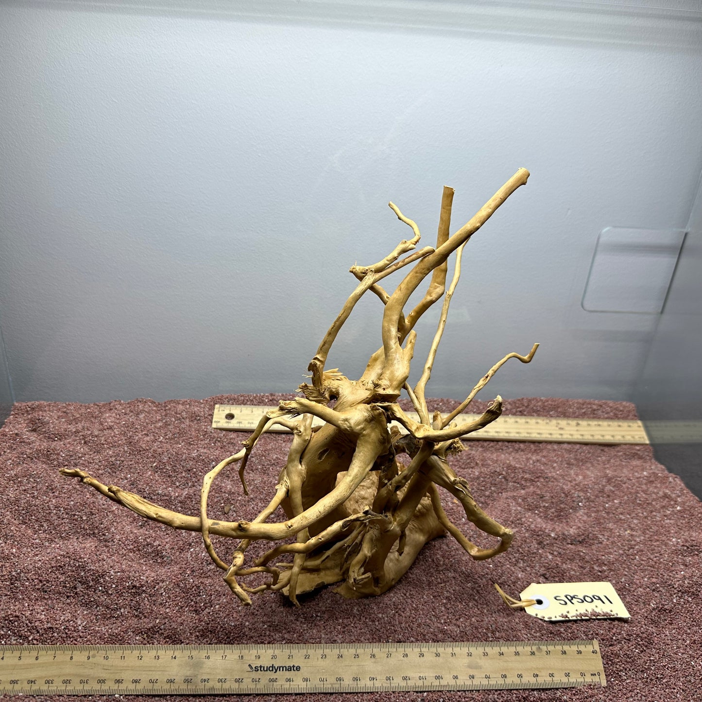 Spiderwood (Small)
